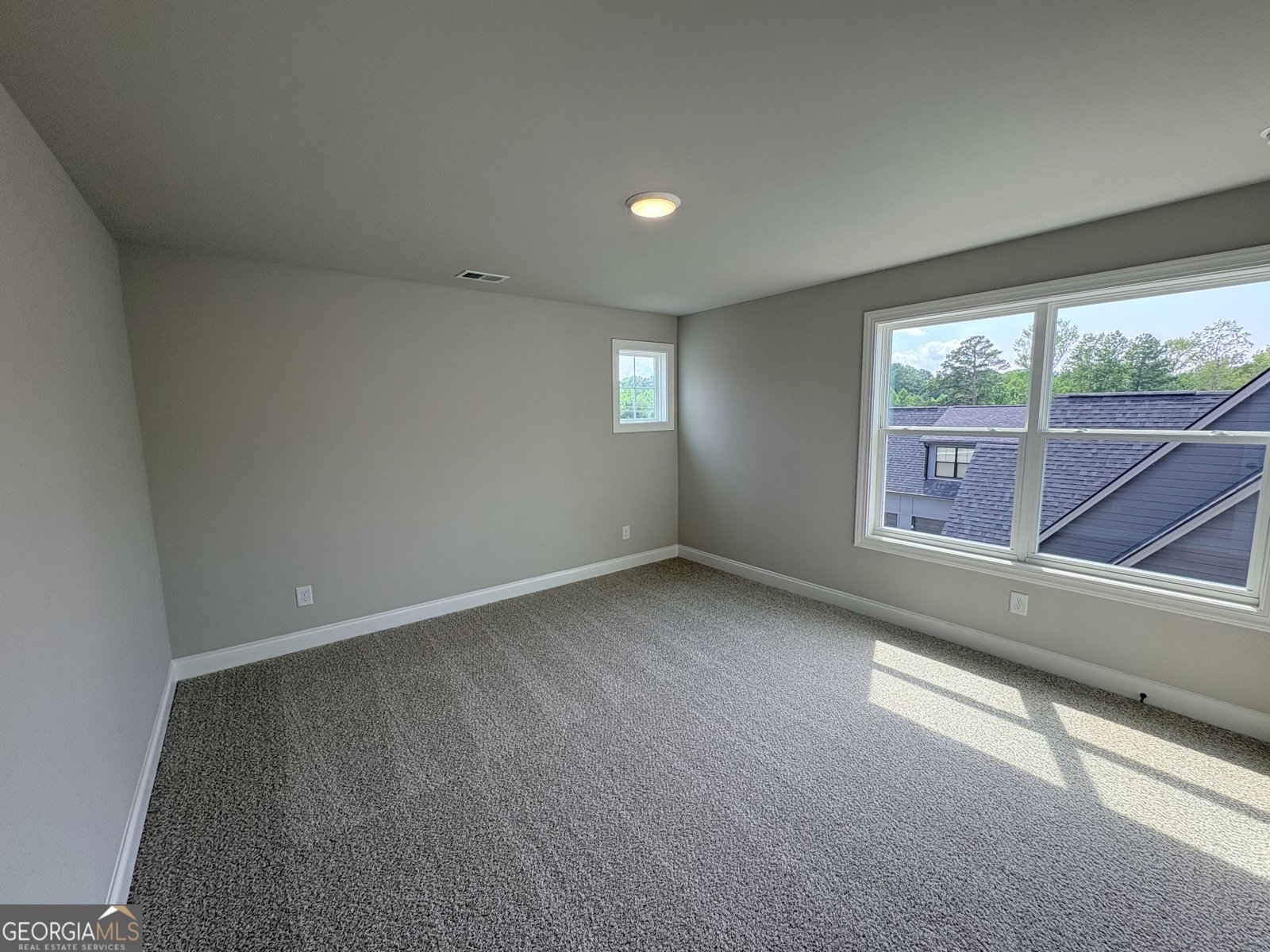 917 Stallings Road Senoia - Photo 18