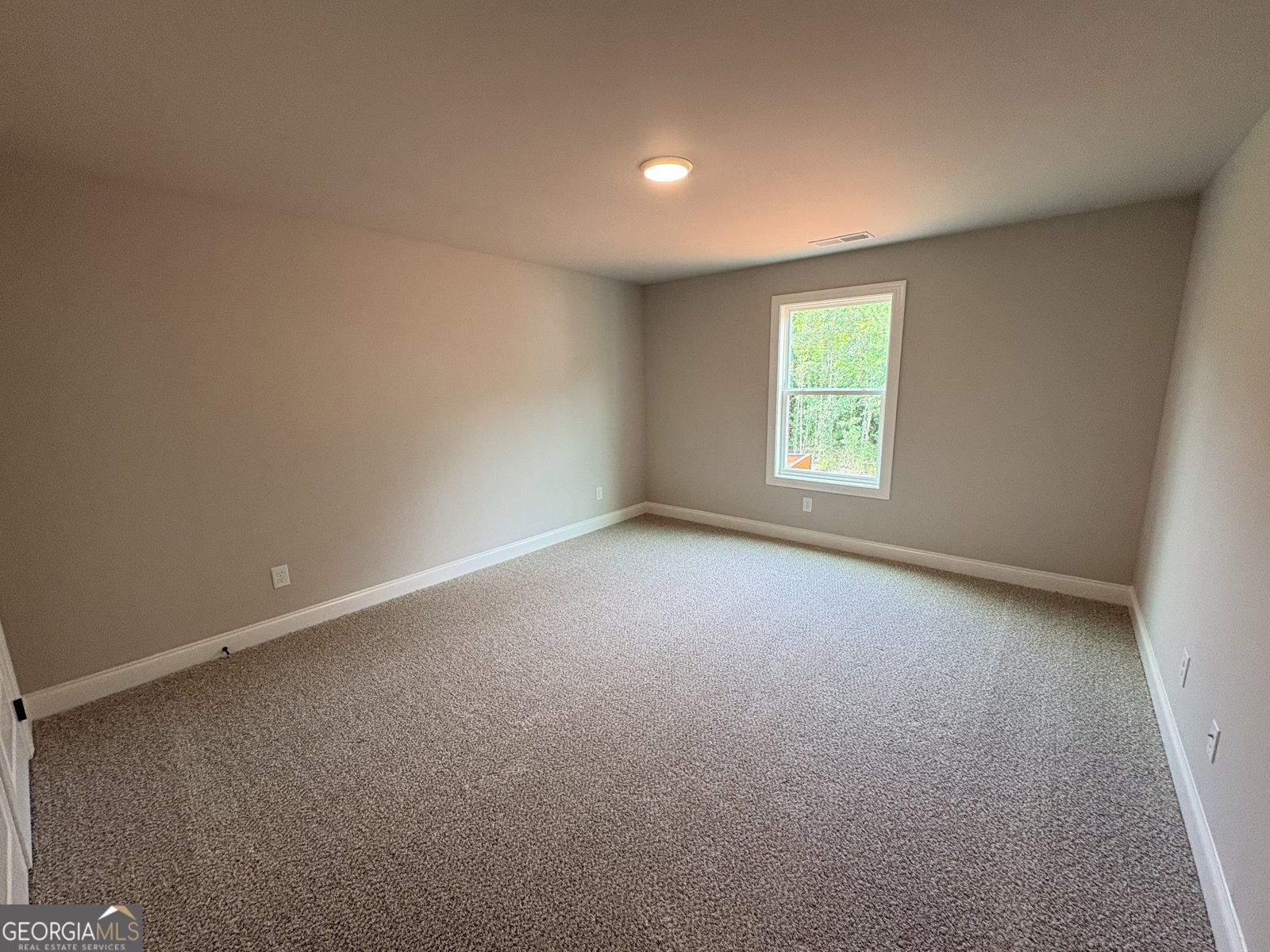 917 Stallings Road Senoia - Photo 20
