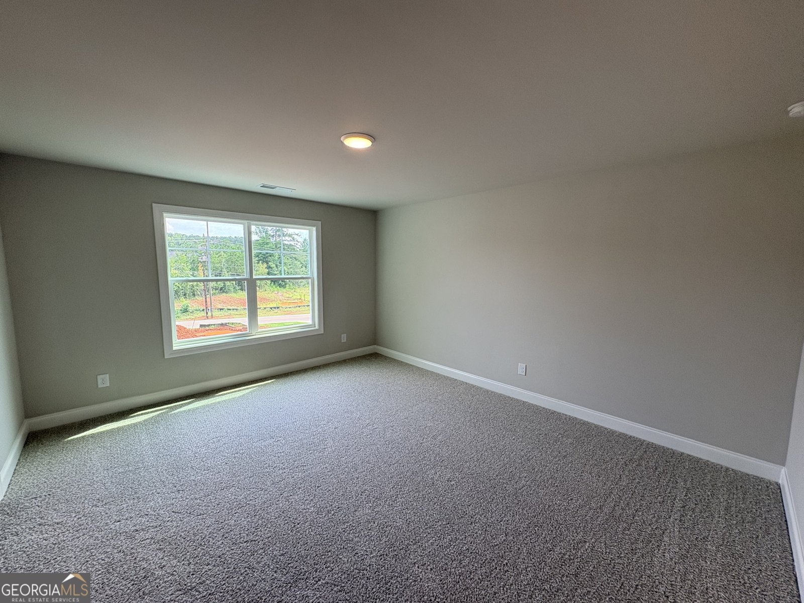 917 Stallings Road Senoia - Photo 22