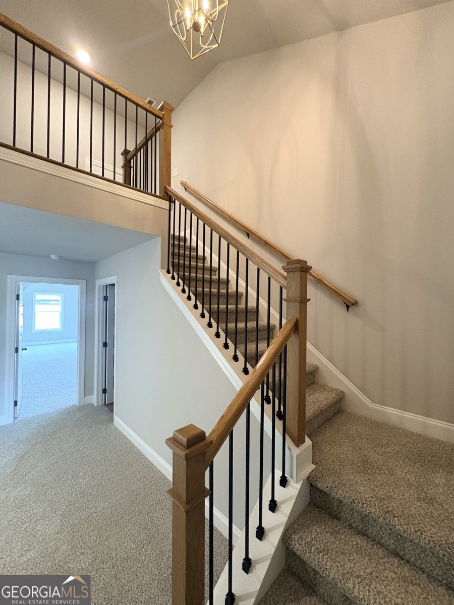 917 Stallings Road Senoia - Photo 32