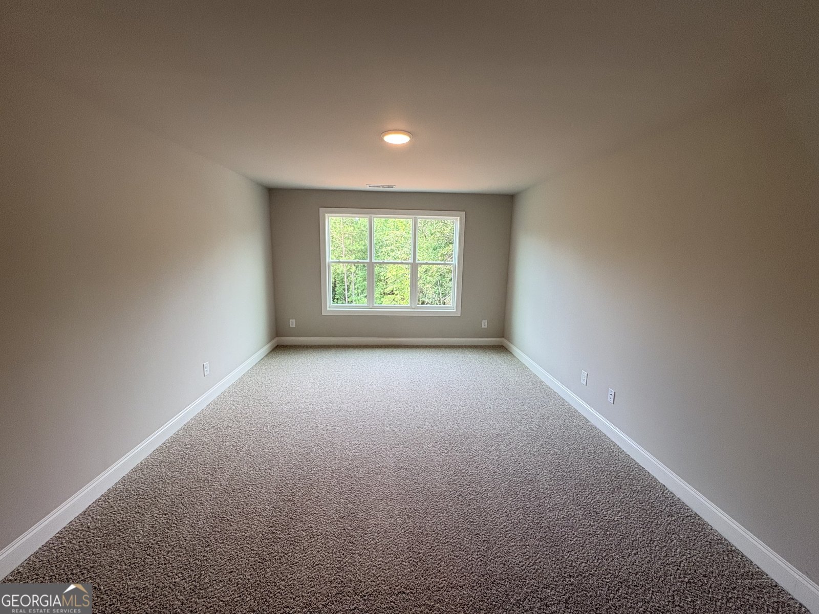 917 Stallings Road Senoia - Photo 39