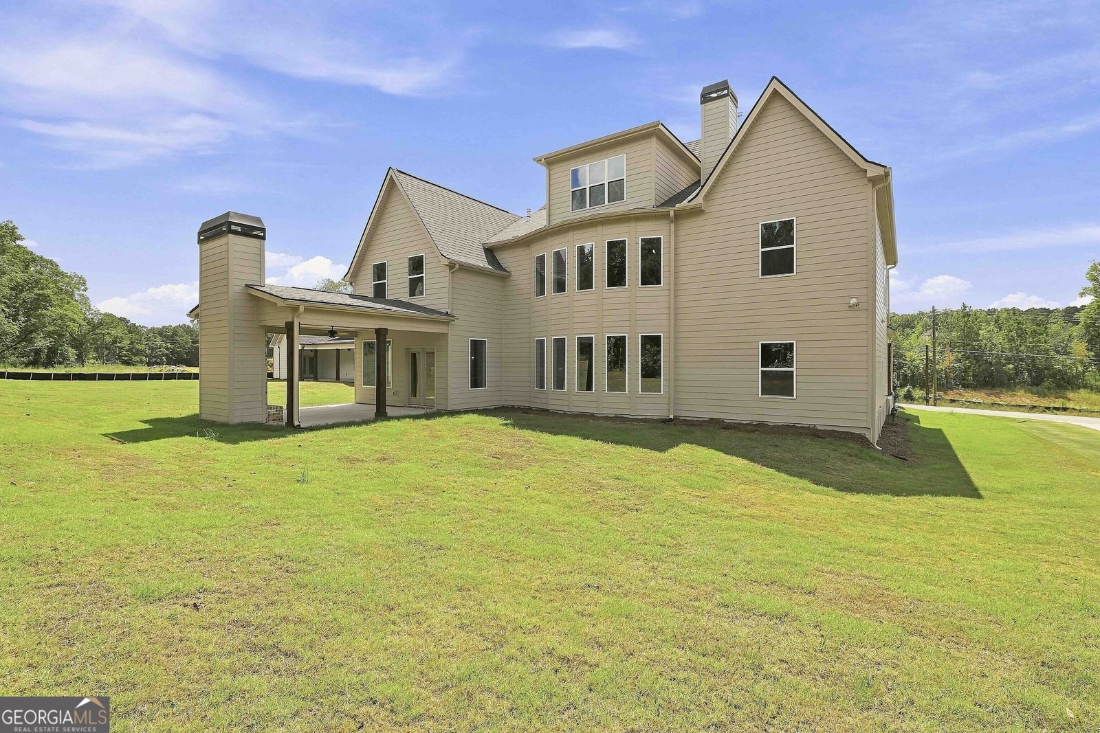917 Stallings Road Senoia - Photo 46