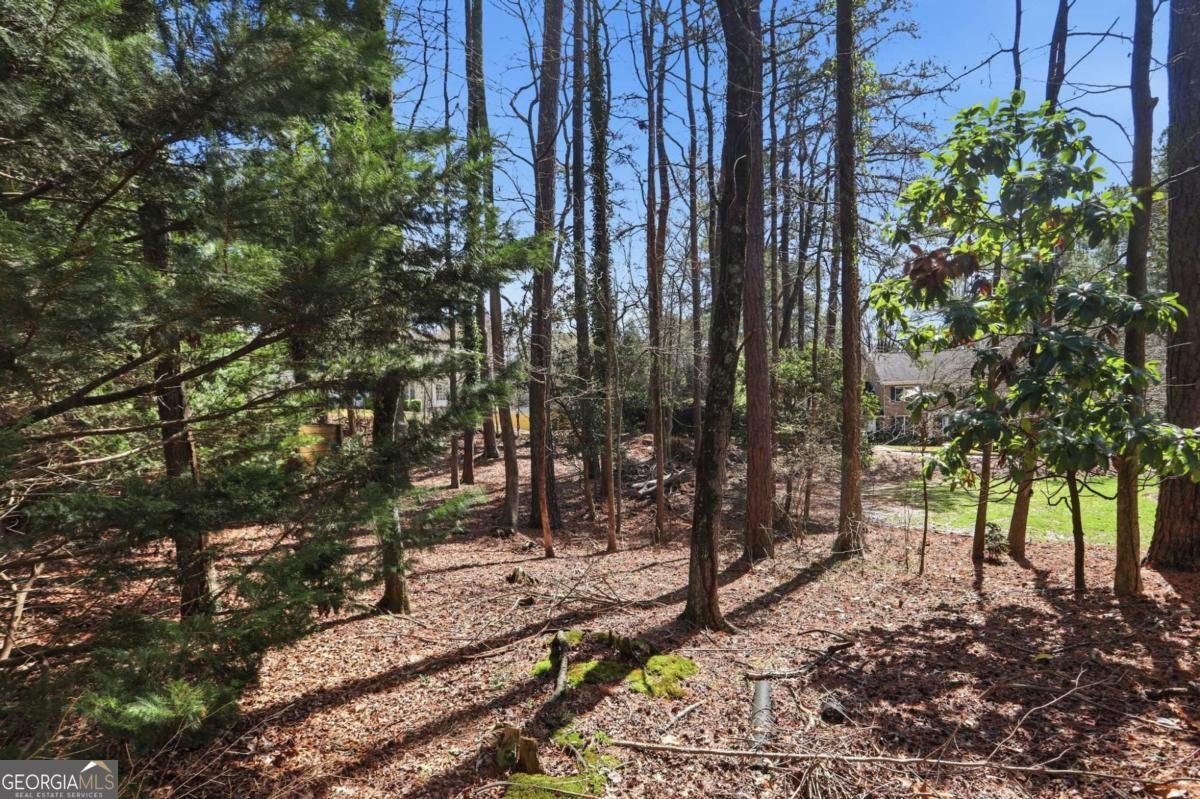 315 Spindletree Trace Roswell - Photo 40