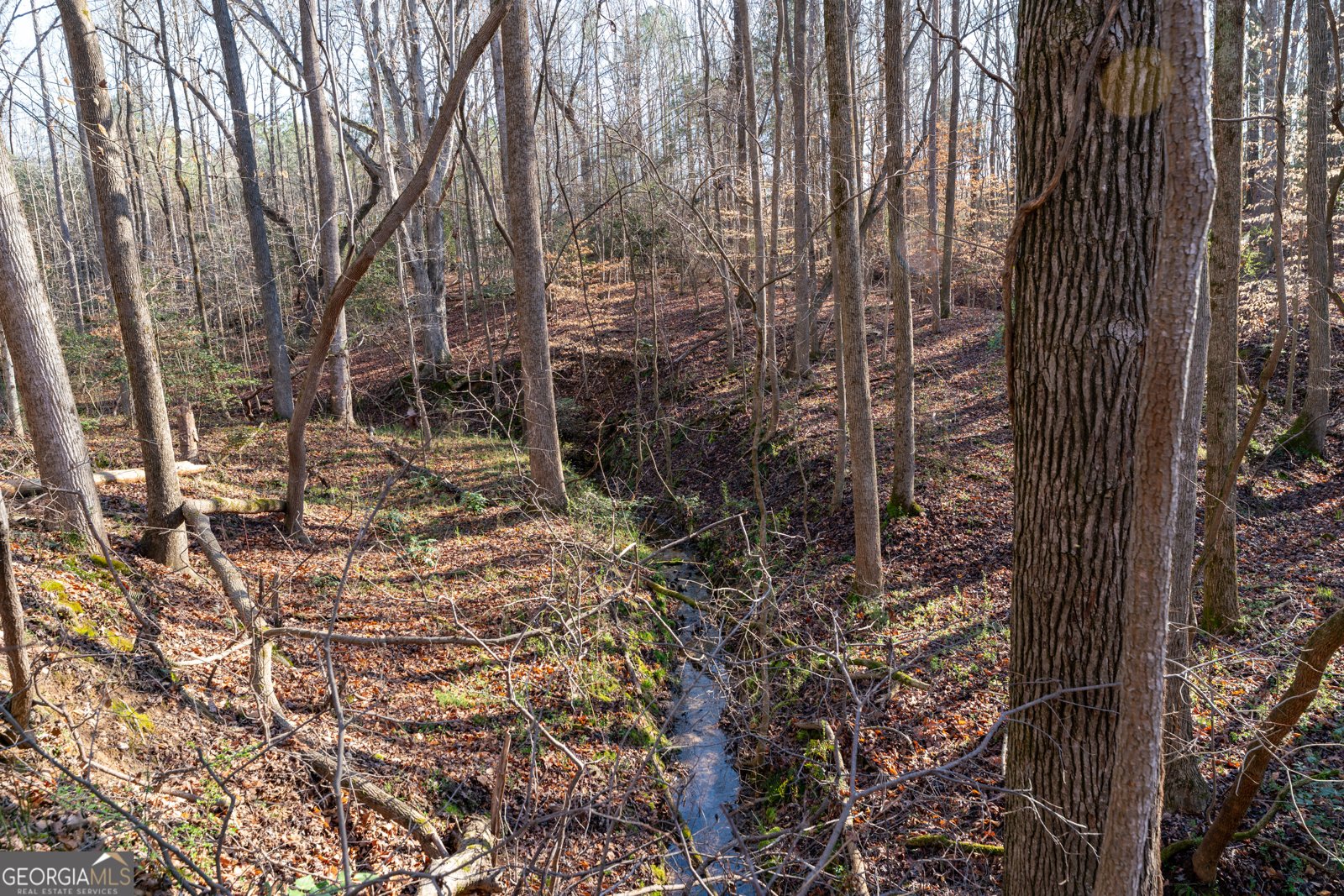 2456 Eddleman Drive Dewy Rose - Photo 11