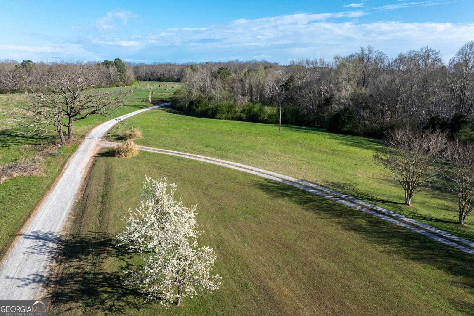 2456 Eddleman Drive Dewy Rose - Photo 45