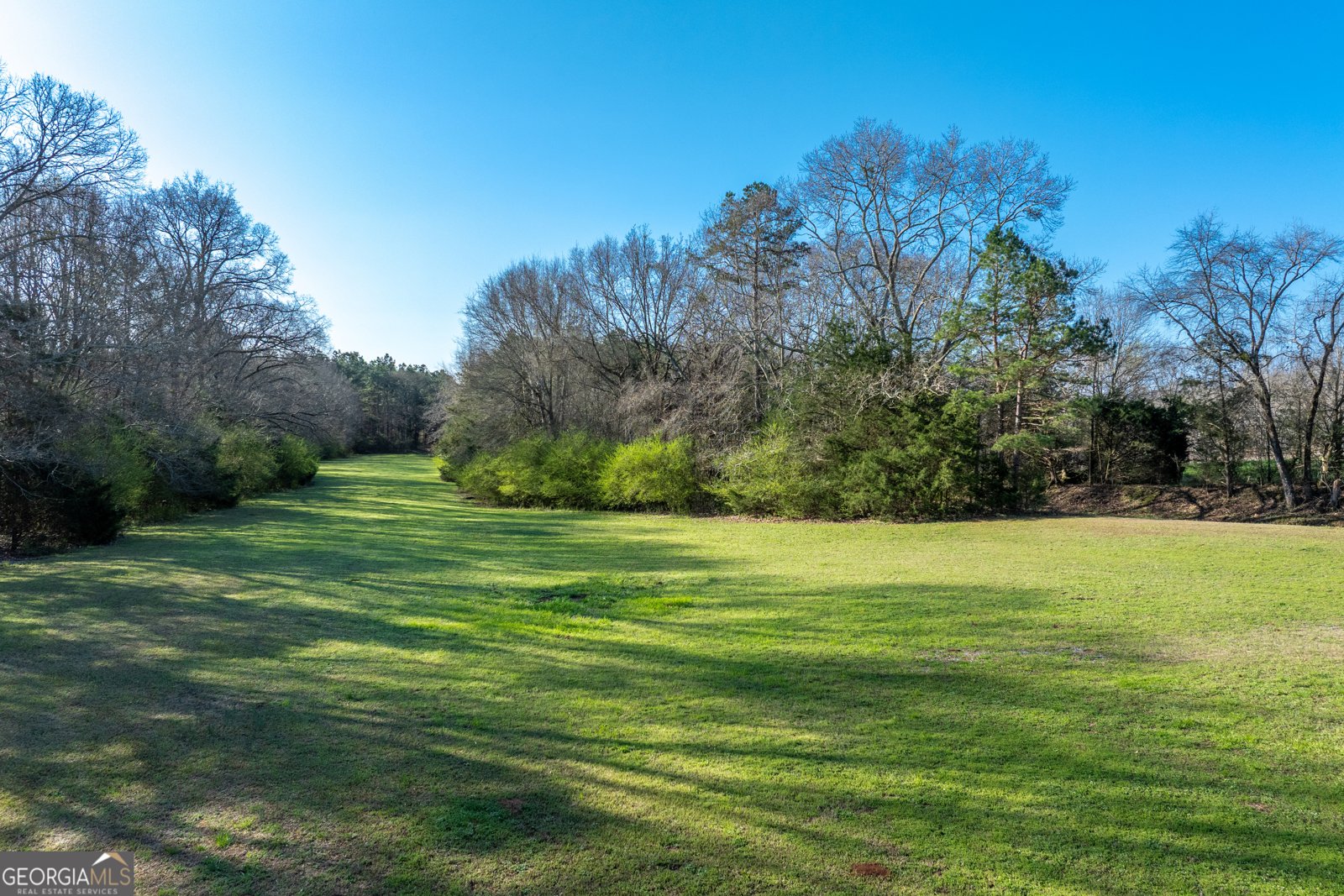 2456 Eddleman Drive Dewy Rose - Photo 47