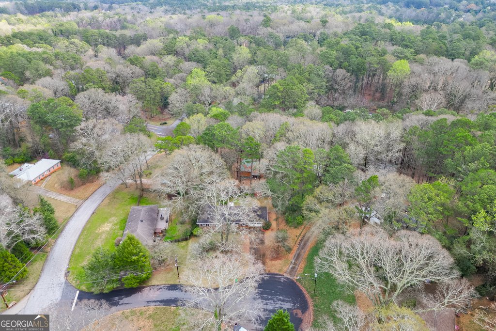 1245 Shadygrove Court Stone Mountain - Photo 38