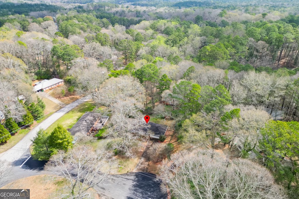 1245 Shadygrove Court Stone Mountain - Photo 40