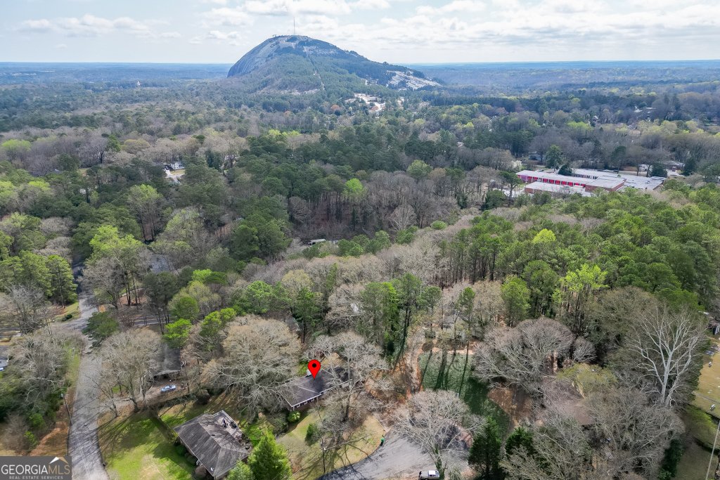 1245 Shadygrove Court Stone Mountain - Photo 41