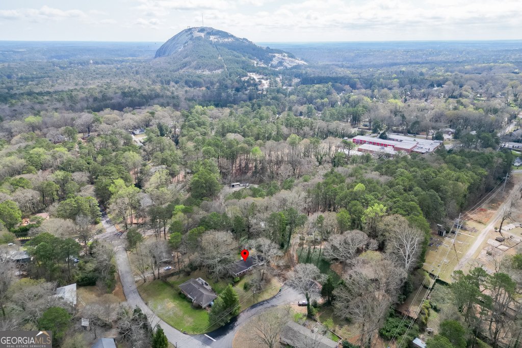 1245 Shadygrove Court Stone Mountain - Photo 42