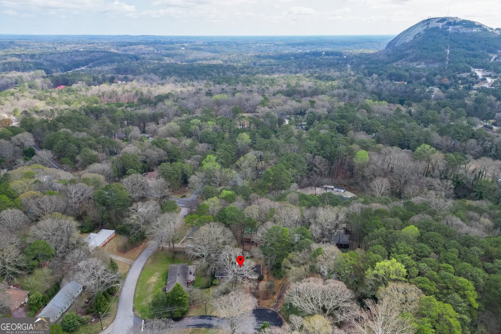 1245 Shadygrove Court Stone Mountain - Photo 44