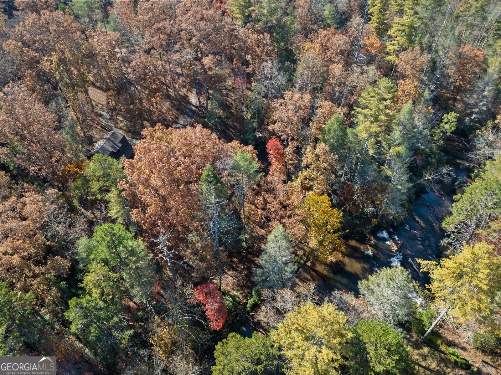 893 Hooper Road Cleveland - Photo 61