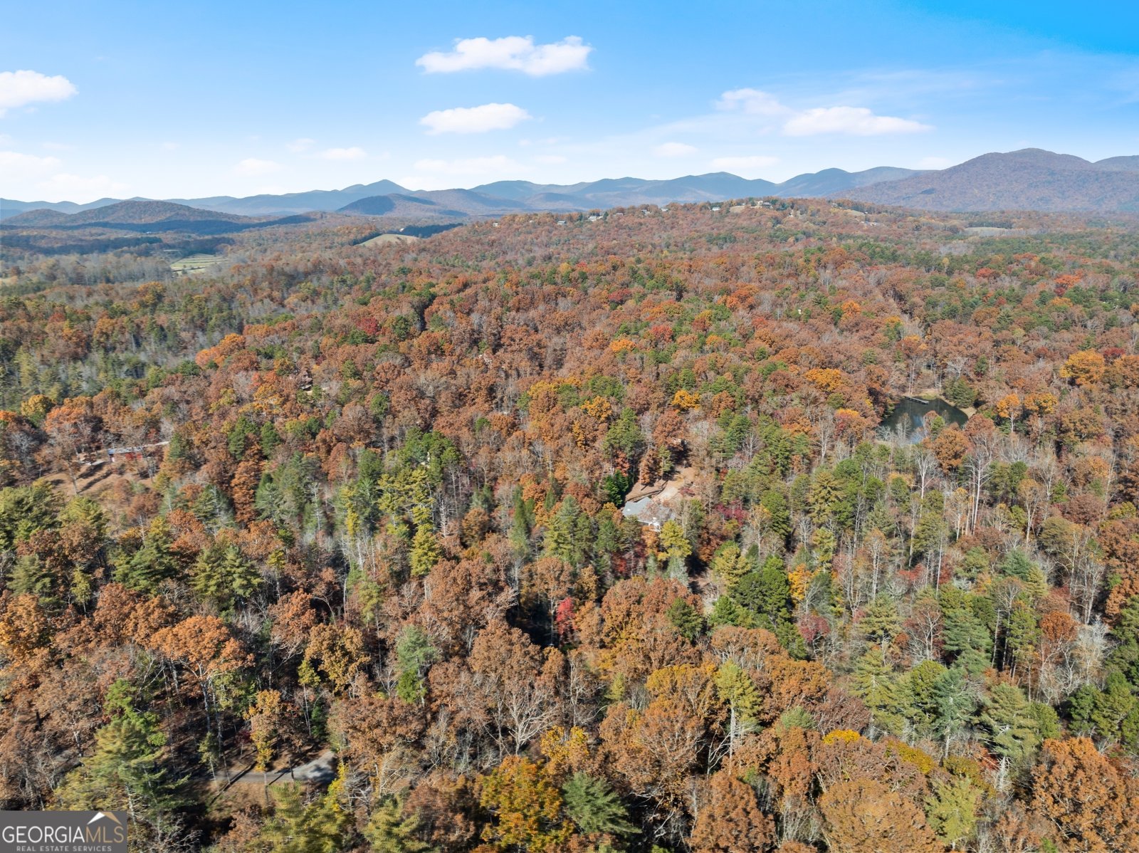 893 Hooper Road Cleveland - Photo 63