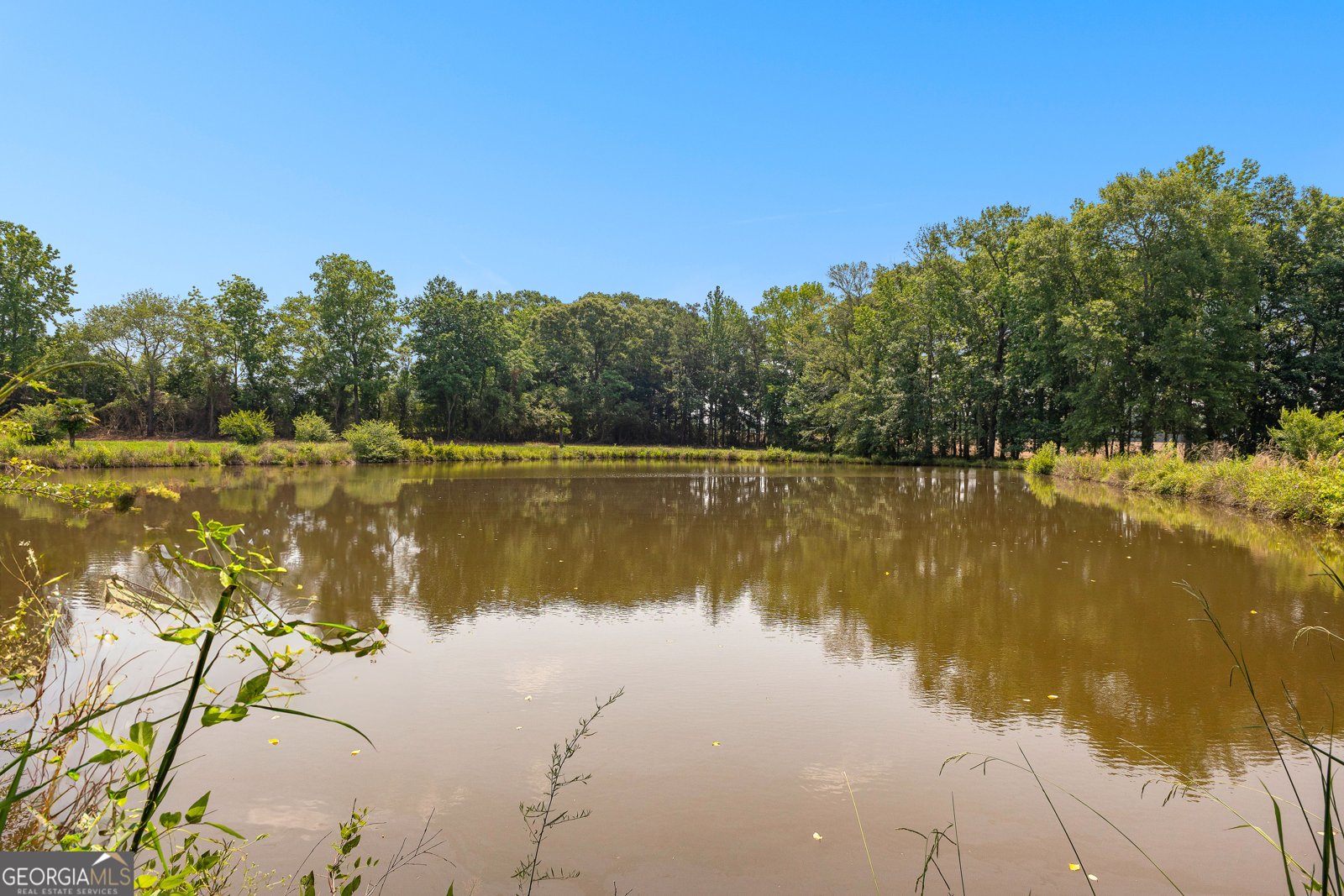 6536 Luthersville Road Gay - Photo 74