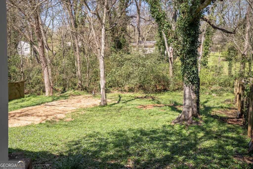 317 Jackson Street Cartersville - Photo 30