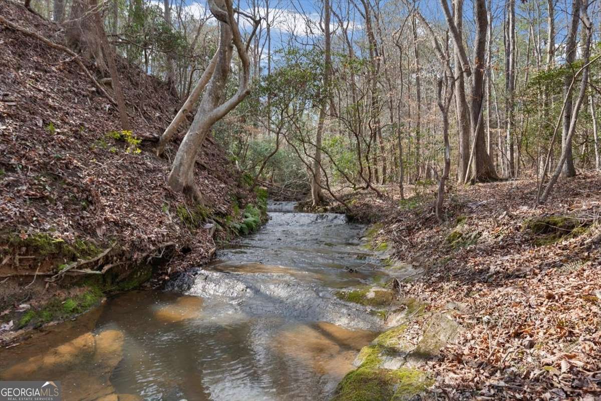 1682 Fincher Road Canton - Photo 51