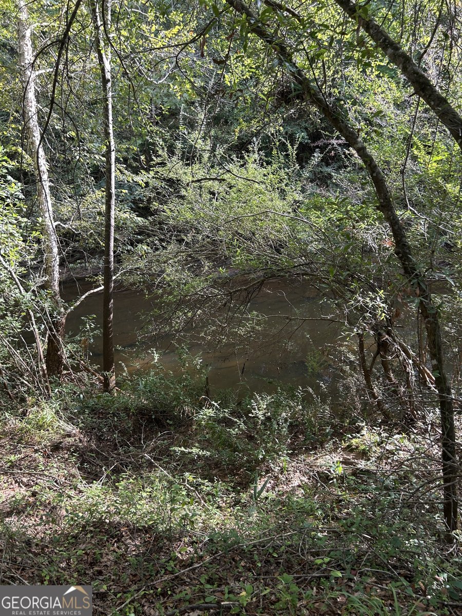 132 Pineworth Pointe Drive Macon - Photo 25