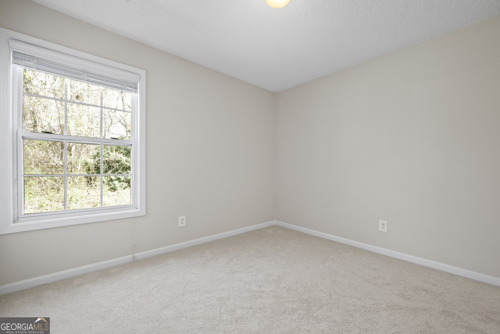 396 Sycamore Drive Winder - Photo 39