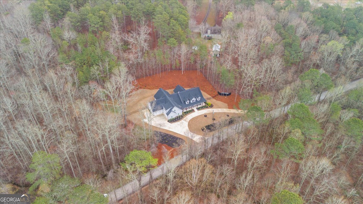 540 Byrd Mountain Lane Canton - Photo 71