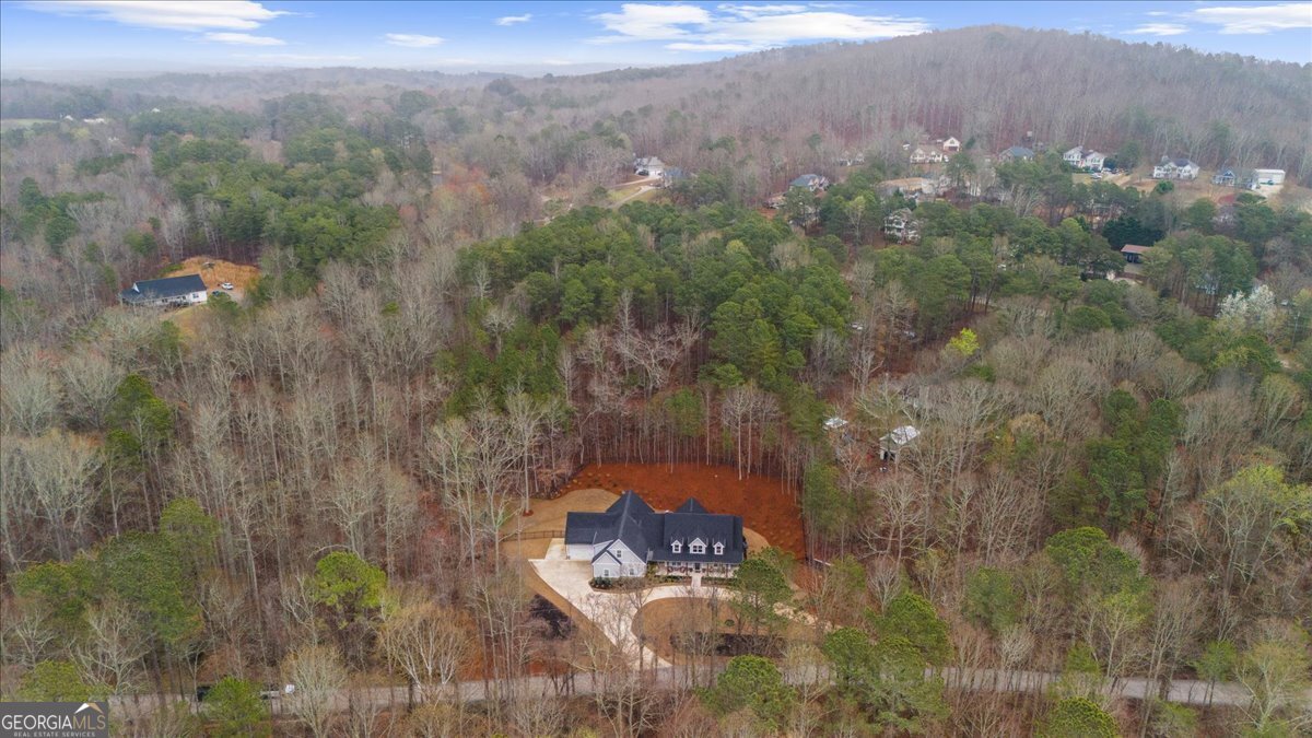 540 Byrd Mountain Lane Canton - Photo 73