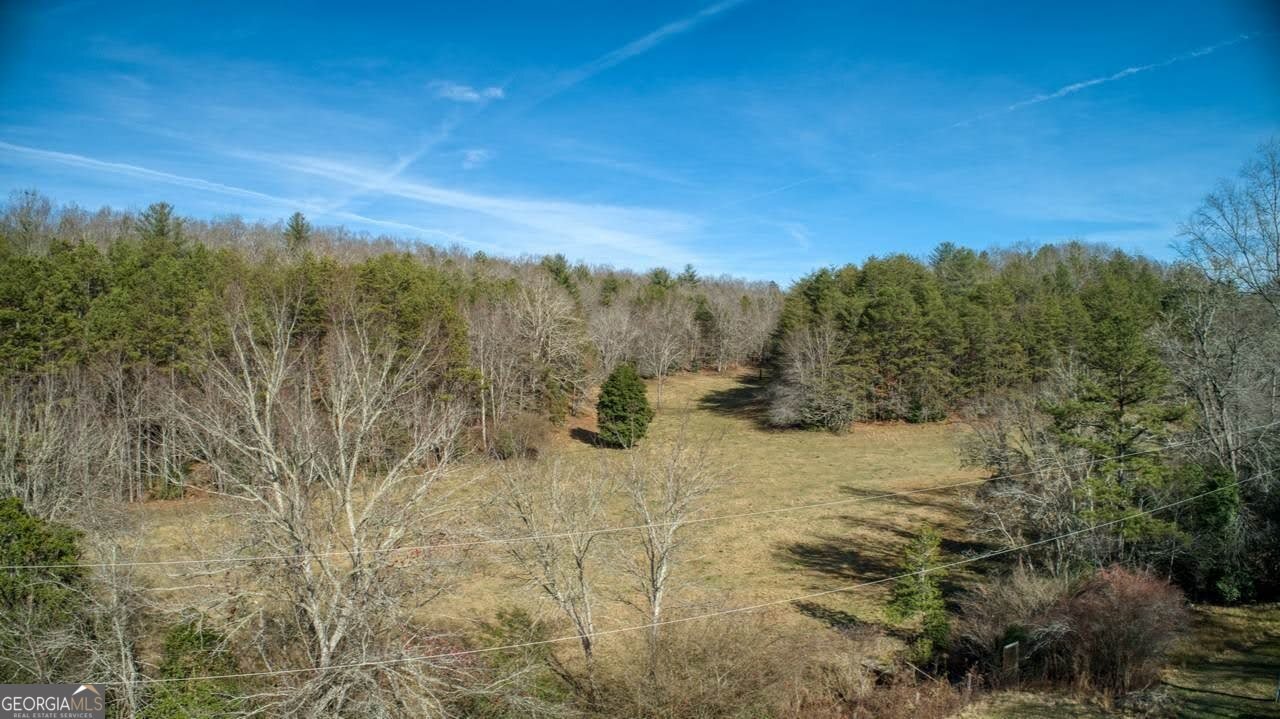 595 Wildlife Trail Morganton - Photo 36