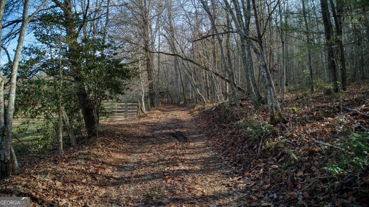 595 Wildlife Trail Morganton - Photo 40