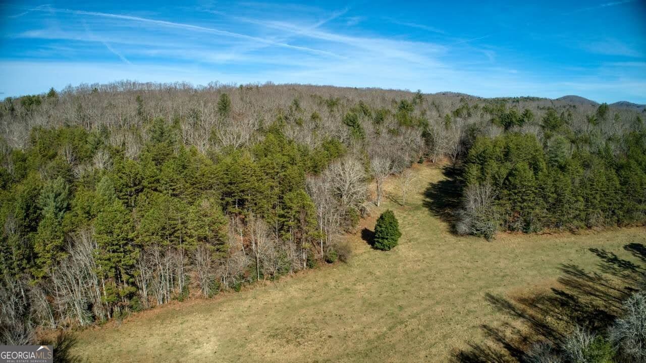 595 Wildlife Trail Morganton - Photo 42