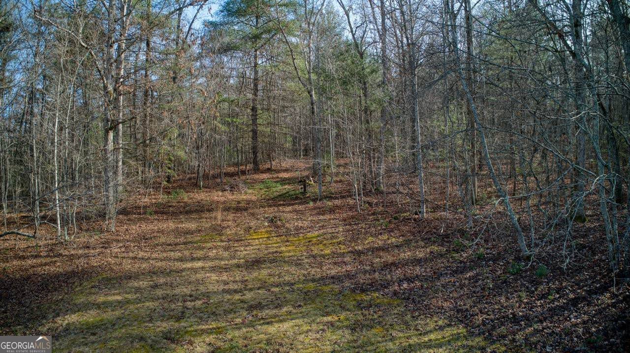 595 Wildlife Trail Morganton - Photo 43