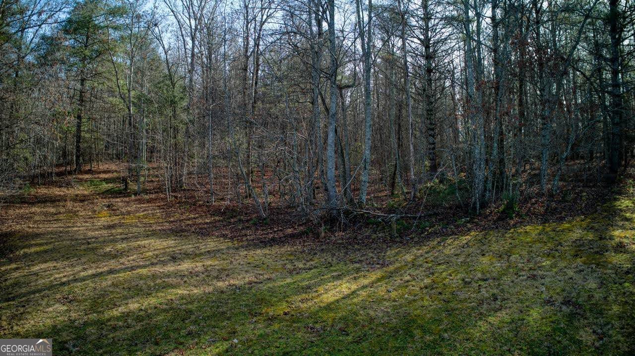 595 Wildlife Trail Morganton - Photo 44