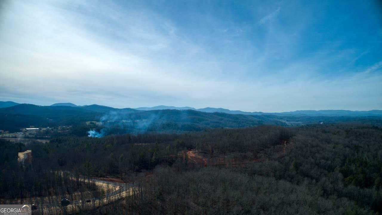 595 Wildlife Trail Morganton - Photo 47