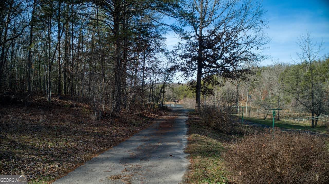 595 Wildlife Trail Morganton - Photo 49