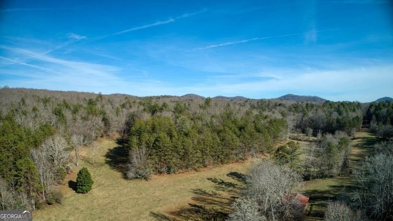 595 Wildlife Trail Morganton - Photo 50