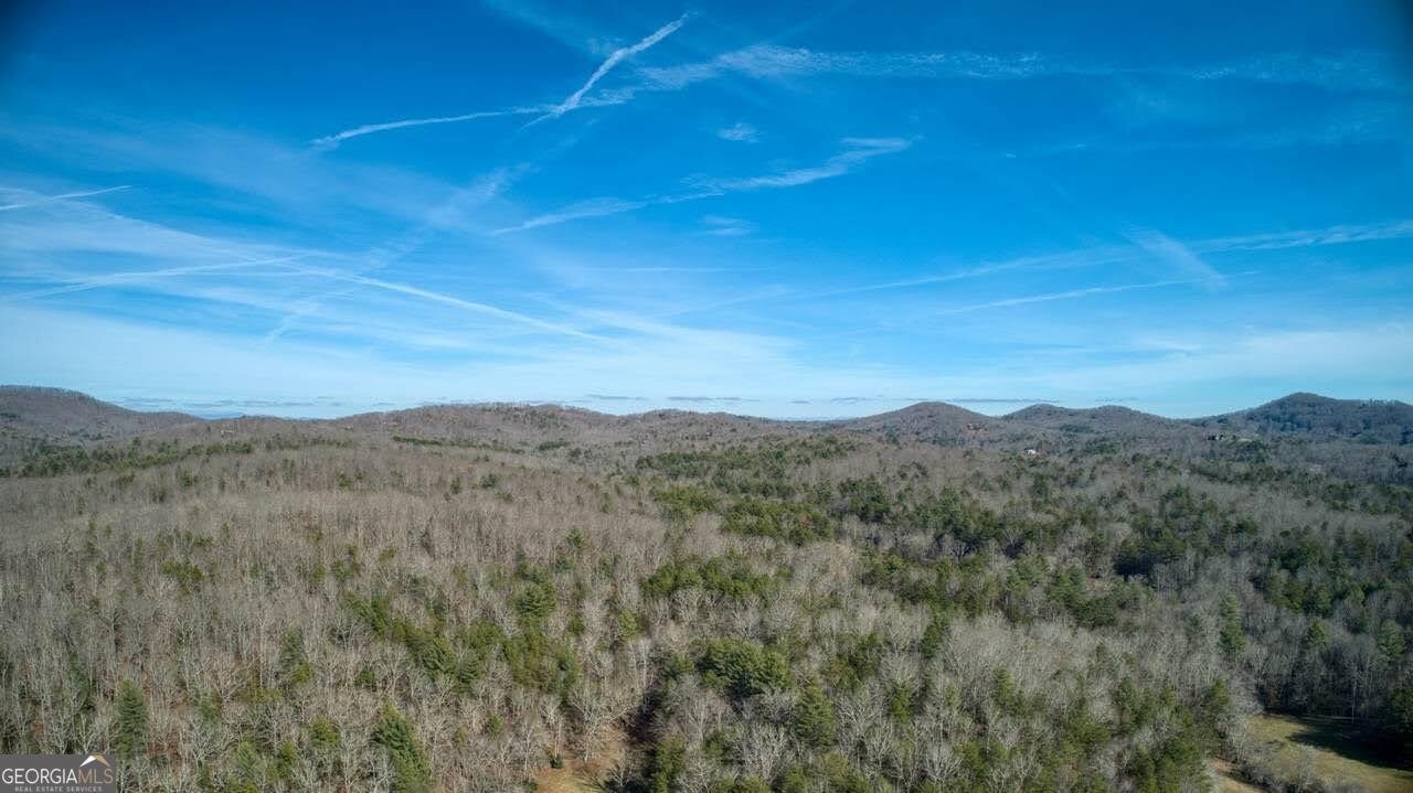 595 Wildlife Trail Morganton - Photo 53