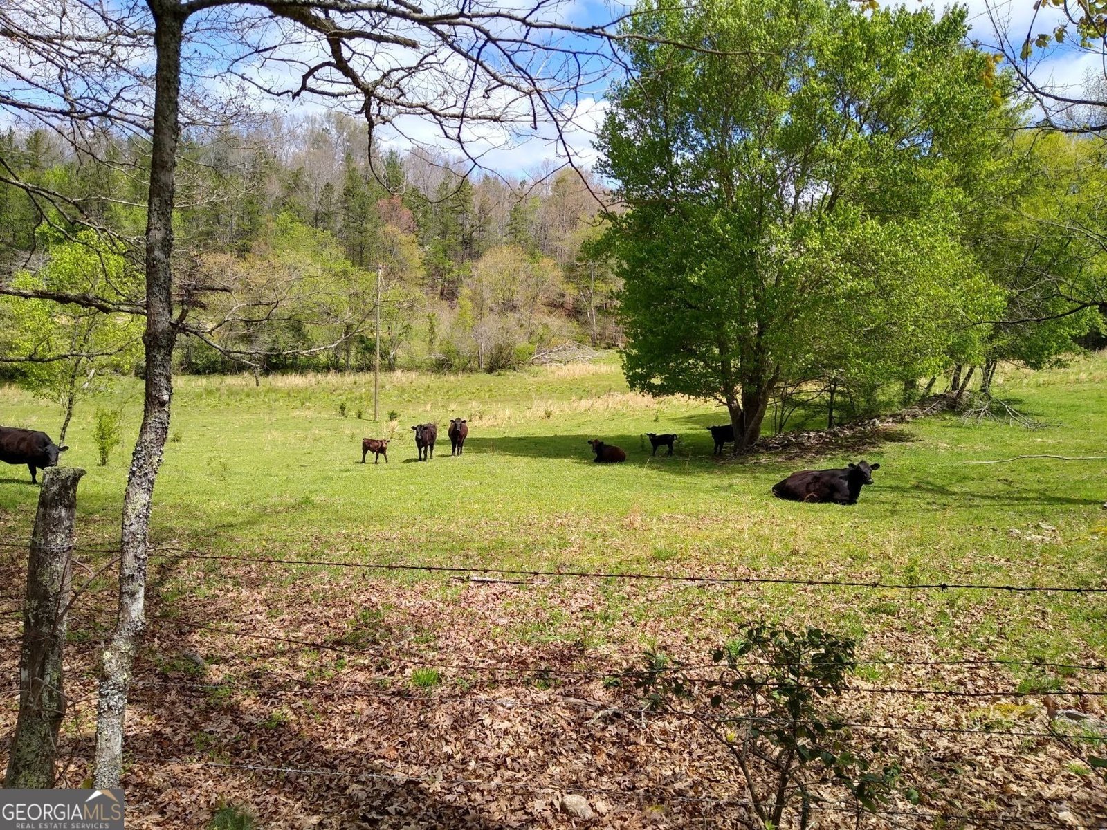 595 Wildlife Trail Morganton - Photo 56