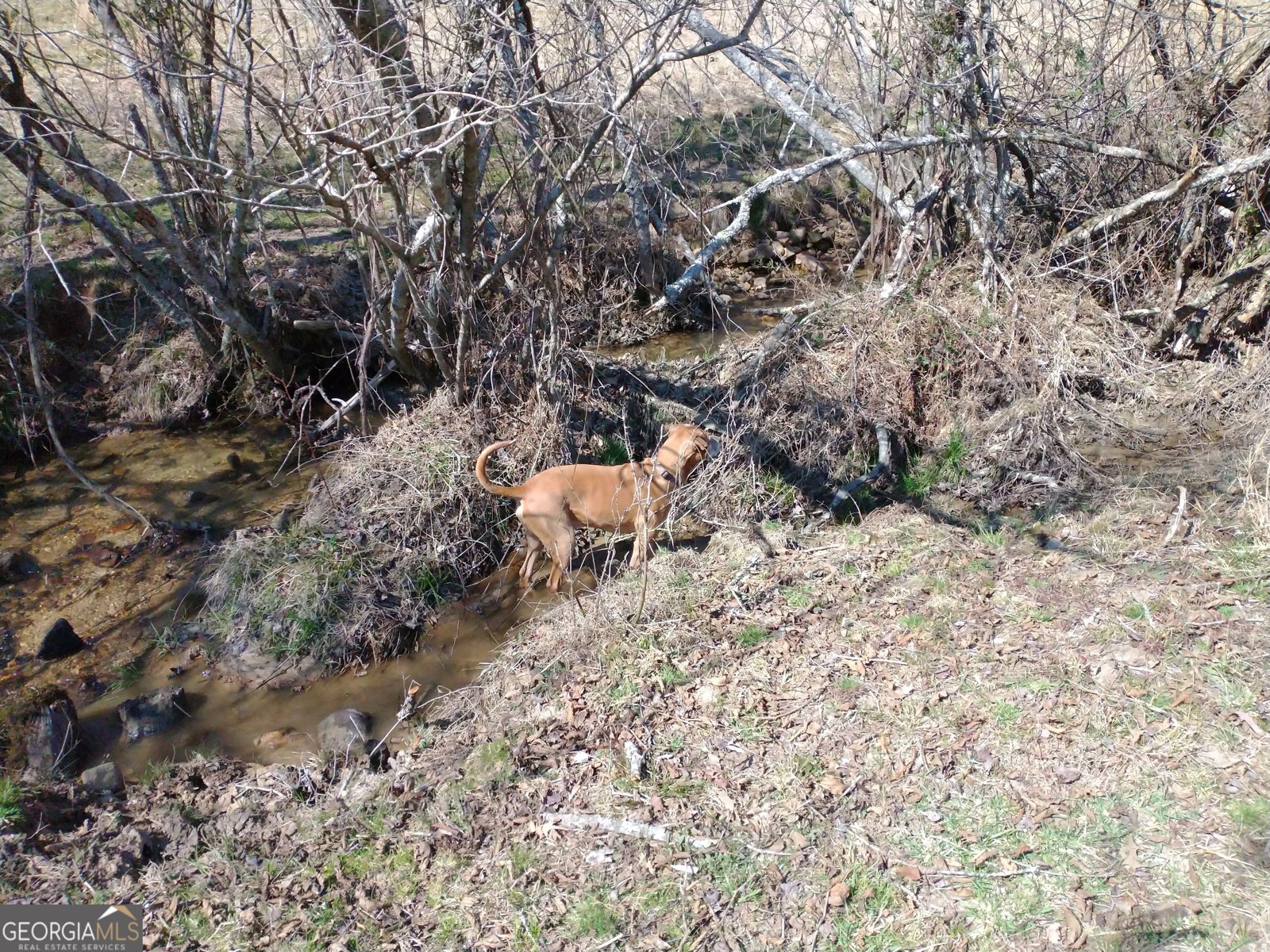 595 Wildlife Trail Morganton - Photo 57