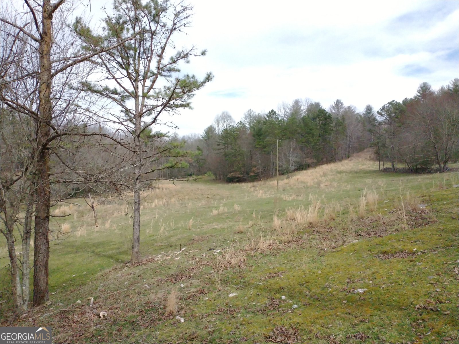 595 Wildlife Trail Morganton - Photo 58