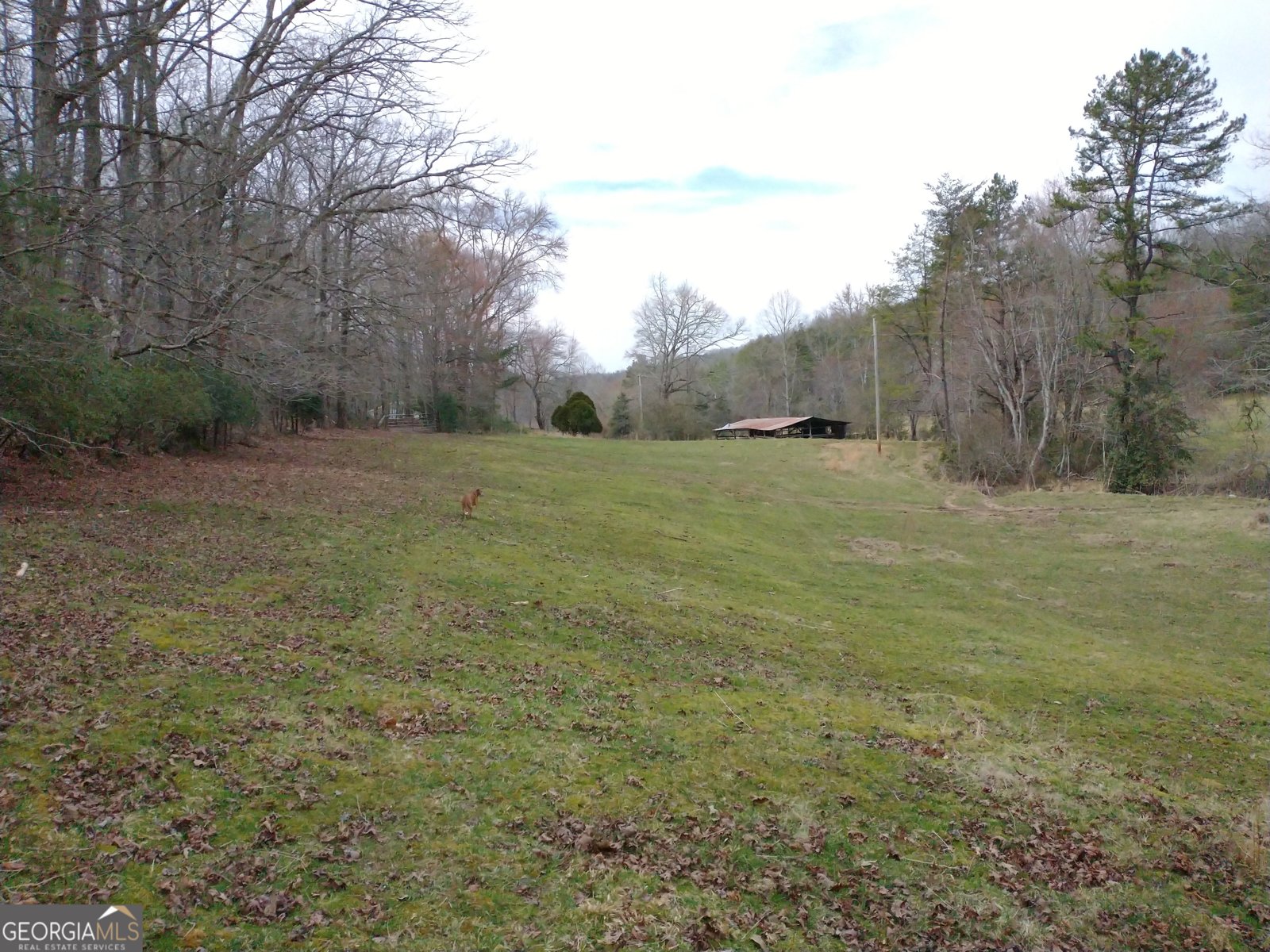 595 Wildlife Trail Morganton - Photo 59