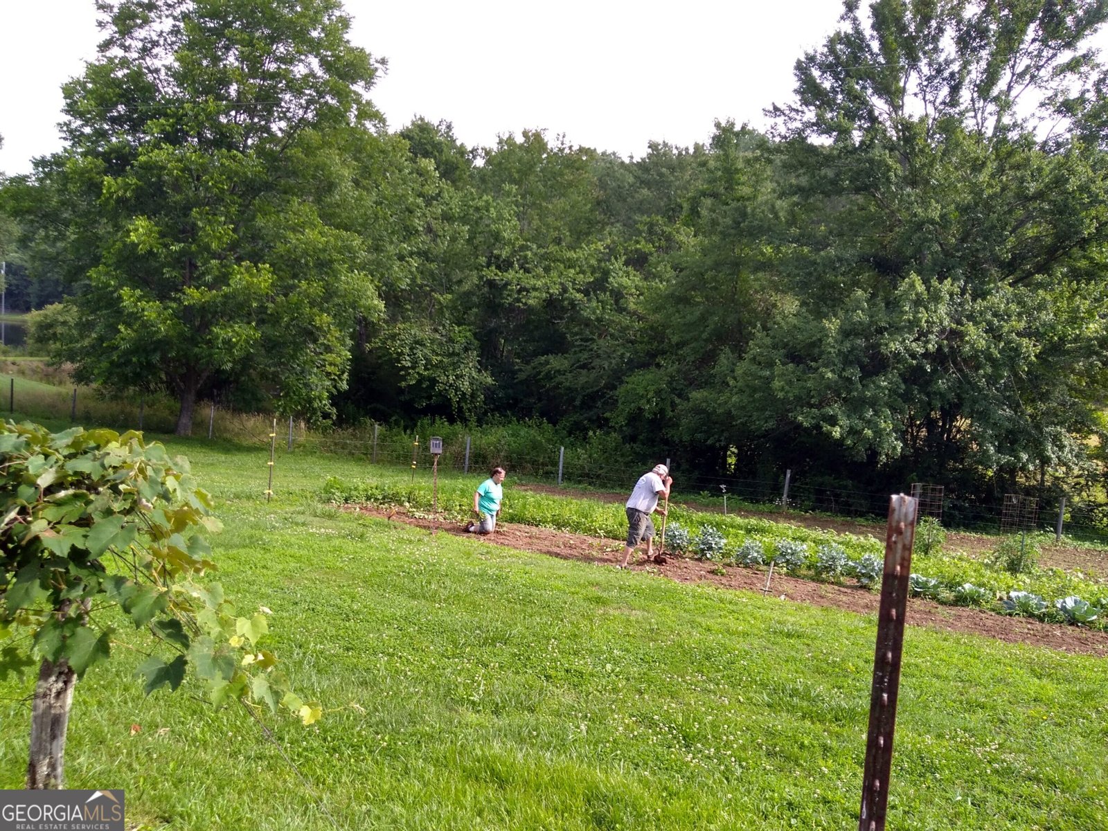 595 Wildlife Trail Morganton - Photo 60