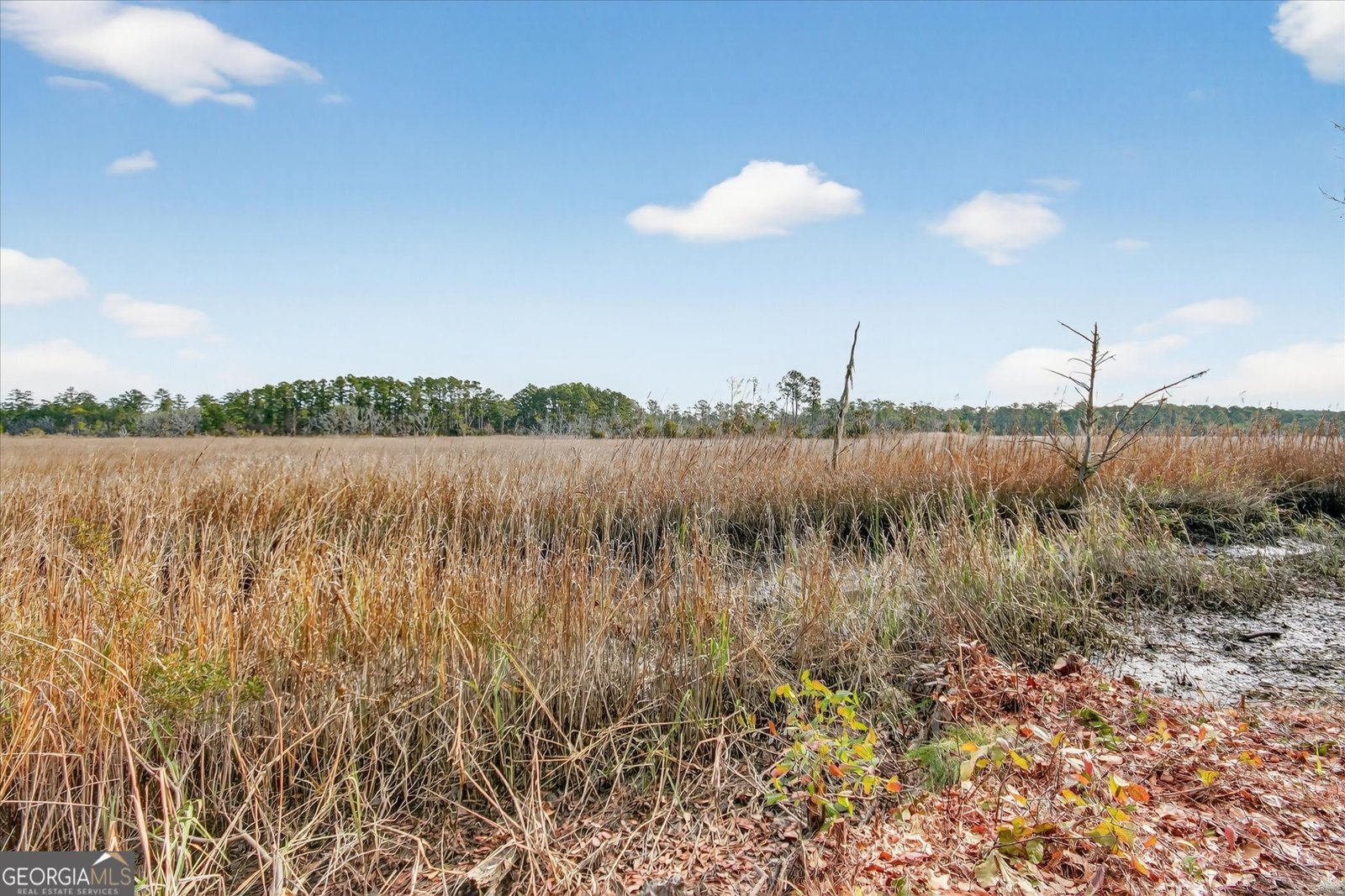 140 Mosswood Drive Savannah - Photo 50