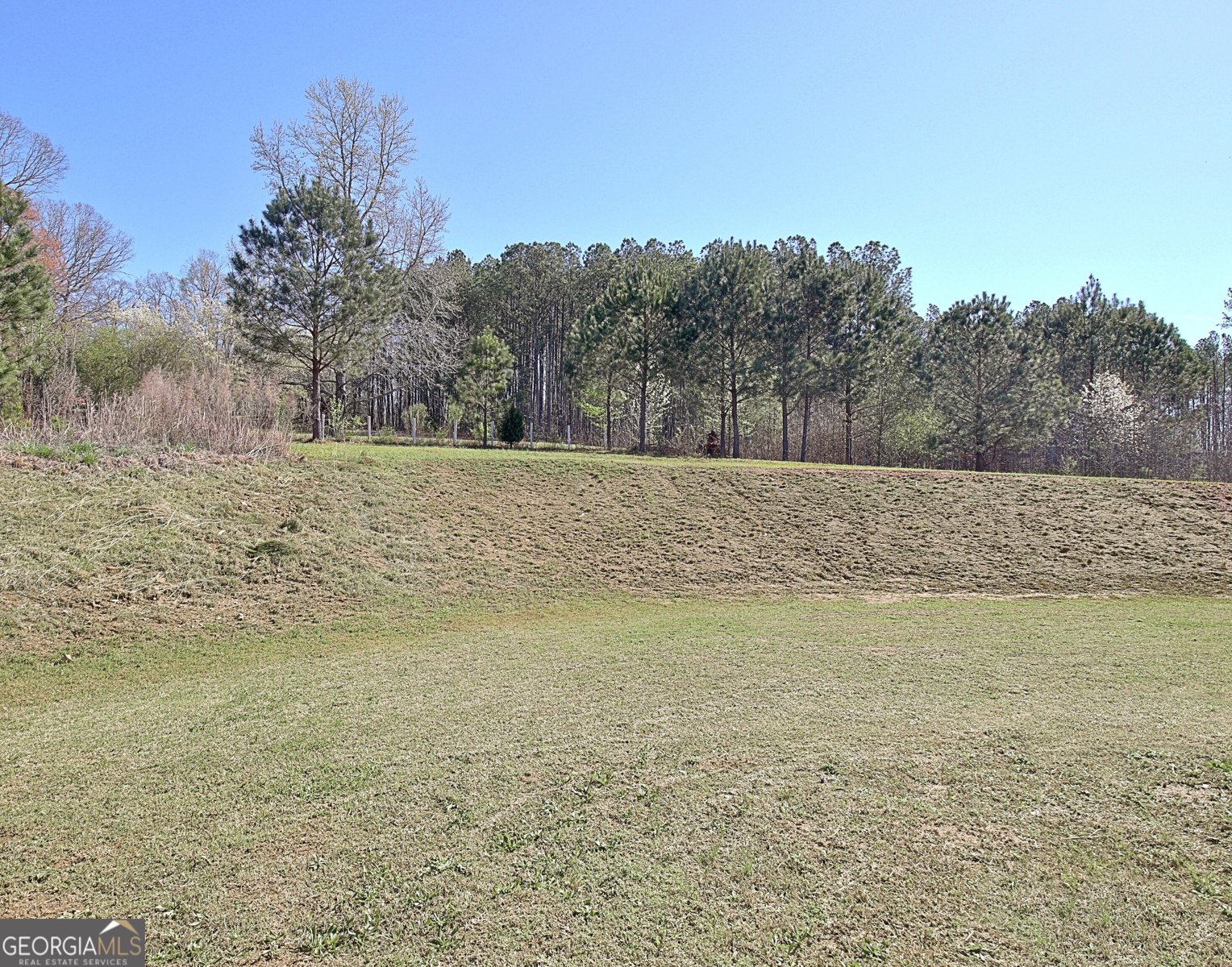 39 Winifred Way Senoia - Photo 68