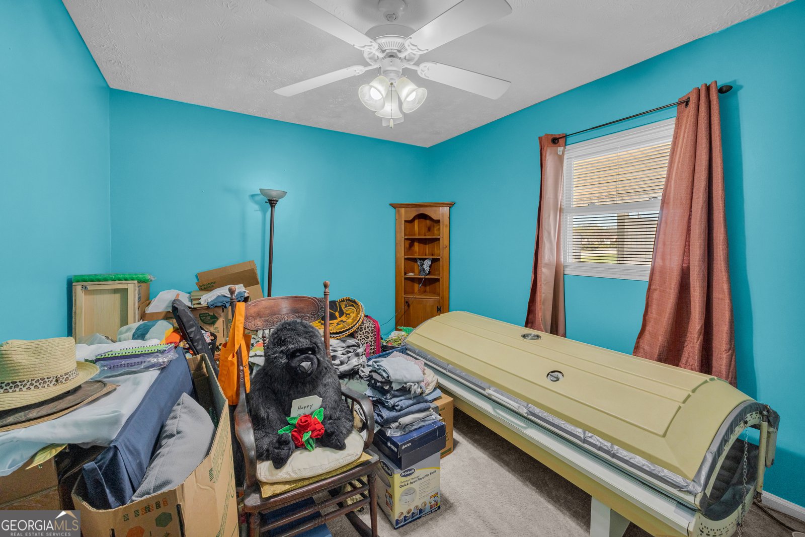 88 Maurice Way Lavonia - Photo 24