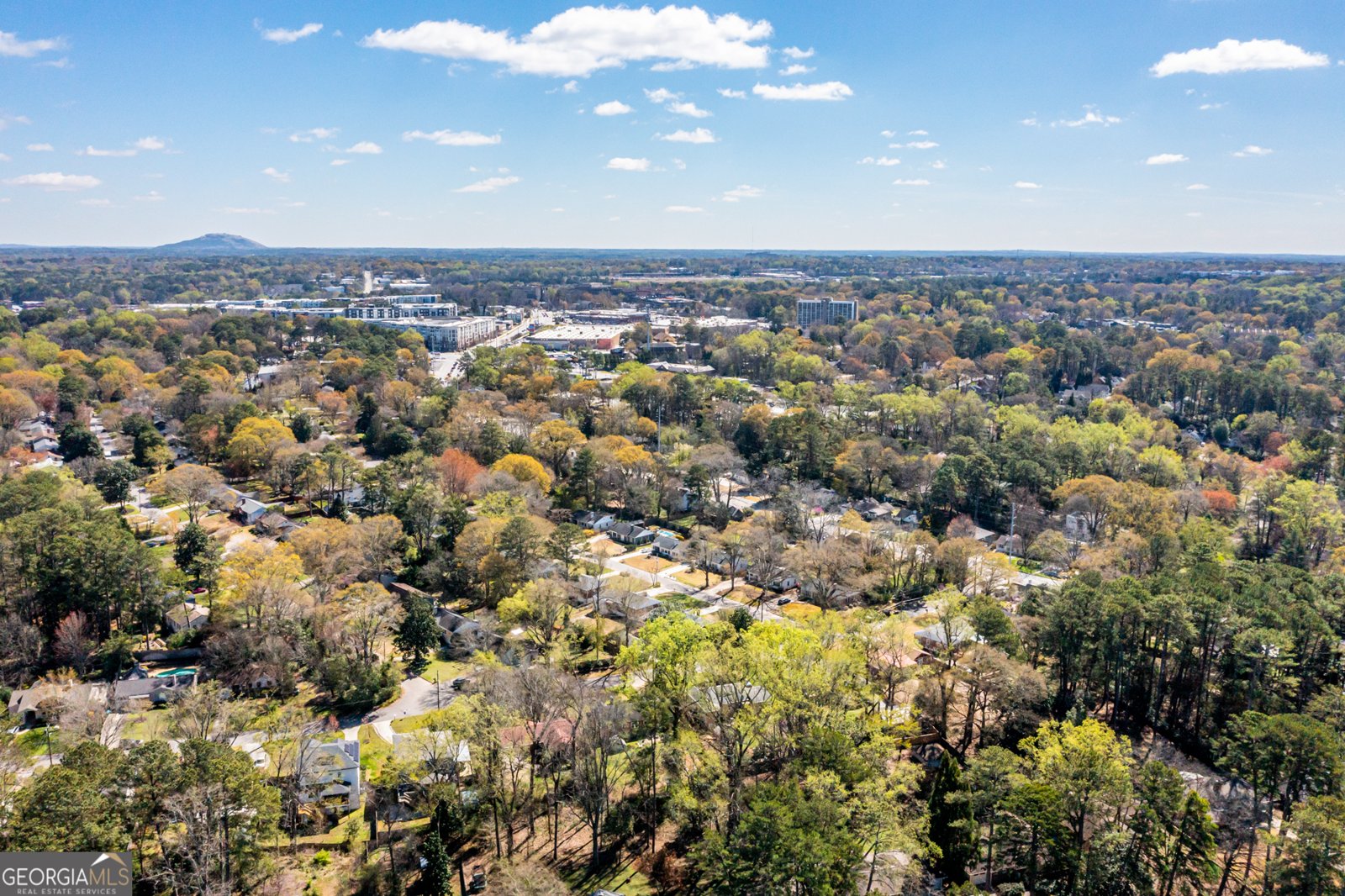 609 Willivee Drive Decatur - Photo 54