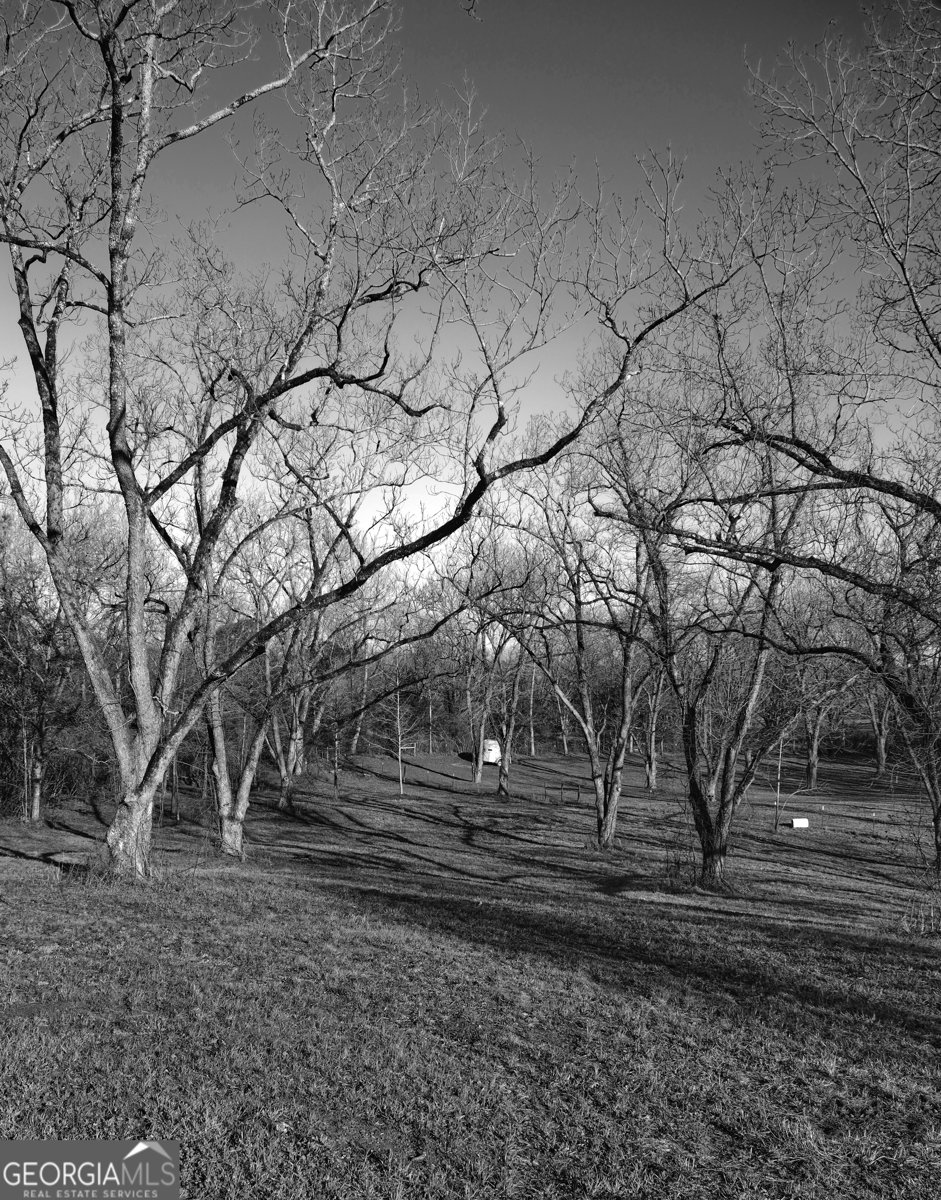 1771 Logtown Road Yatesville - Photo 53