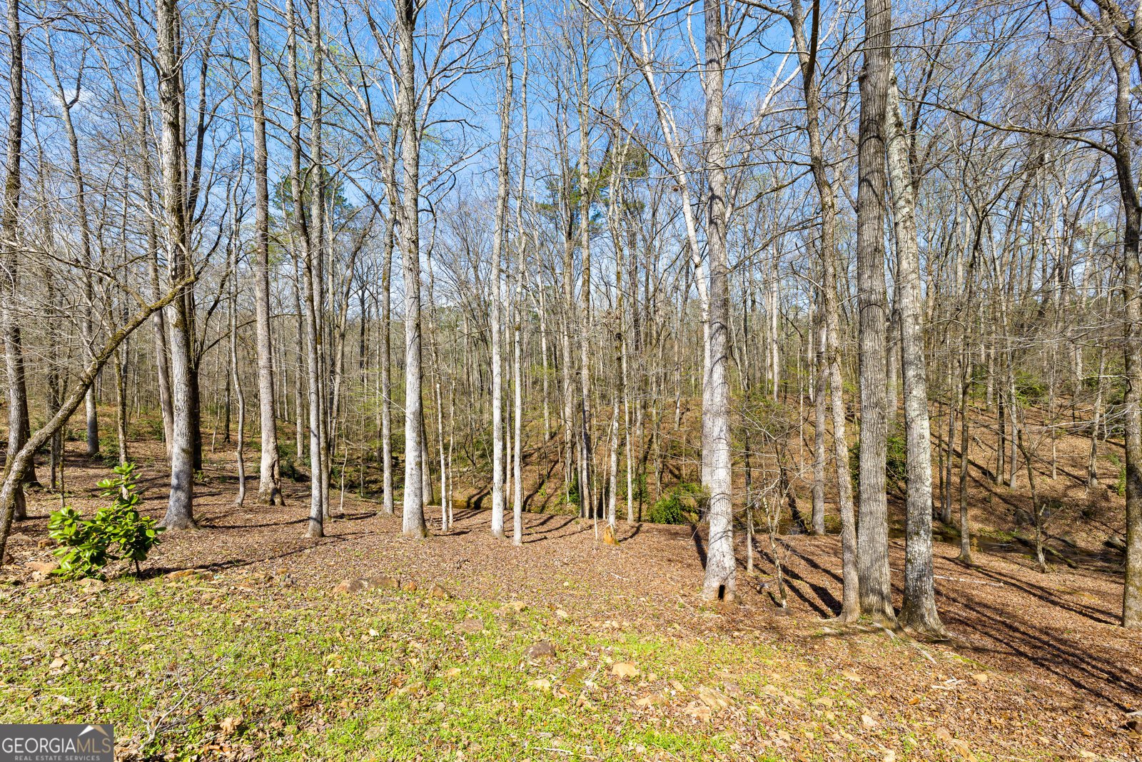 276 Davis Lake Road Thomaston - Photo 103