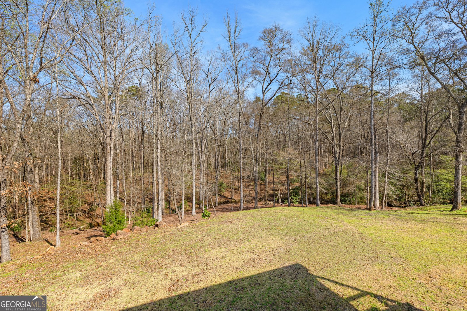 276 Davis Lake Road Thomaston - Photo 92