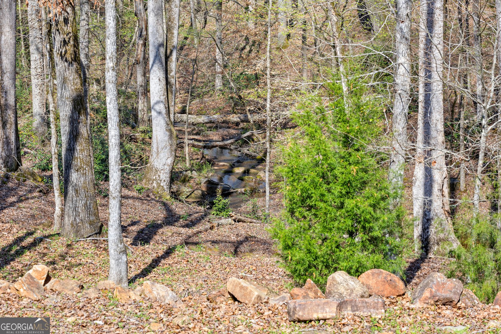 276 Davis Lake Road Thomaston - Photo 97