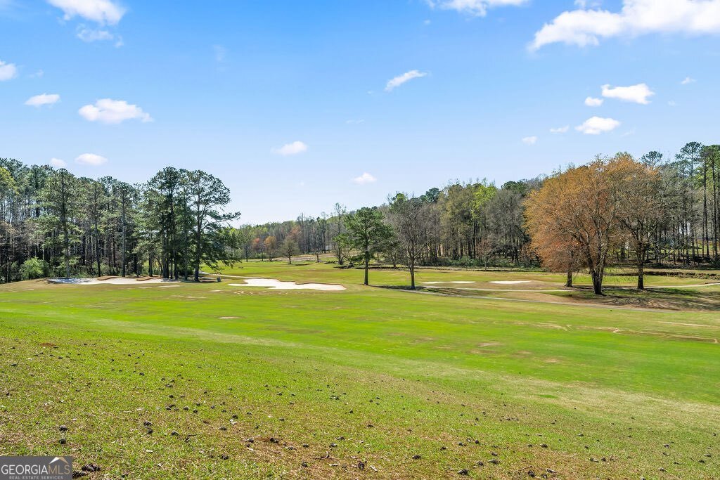 117 Greentree Drive Newnan - Photo 23