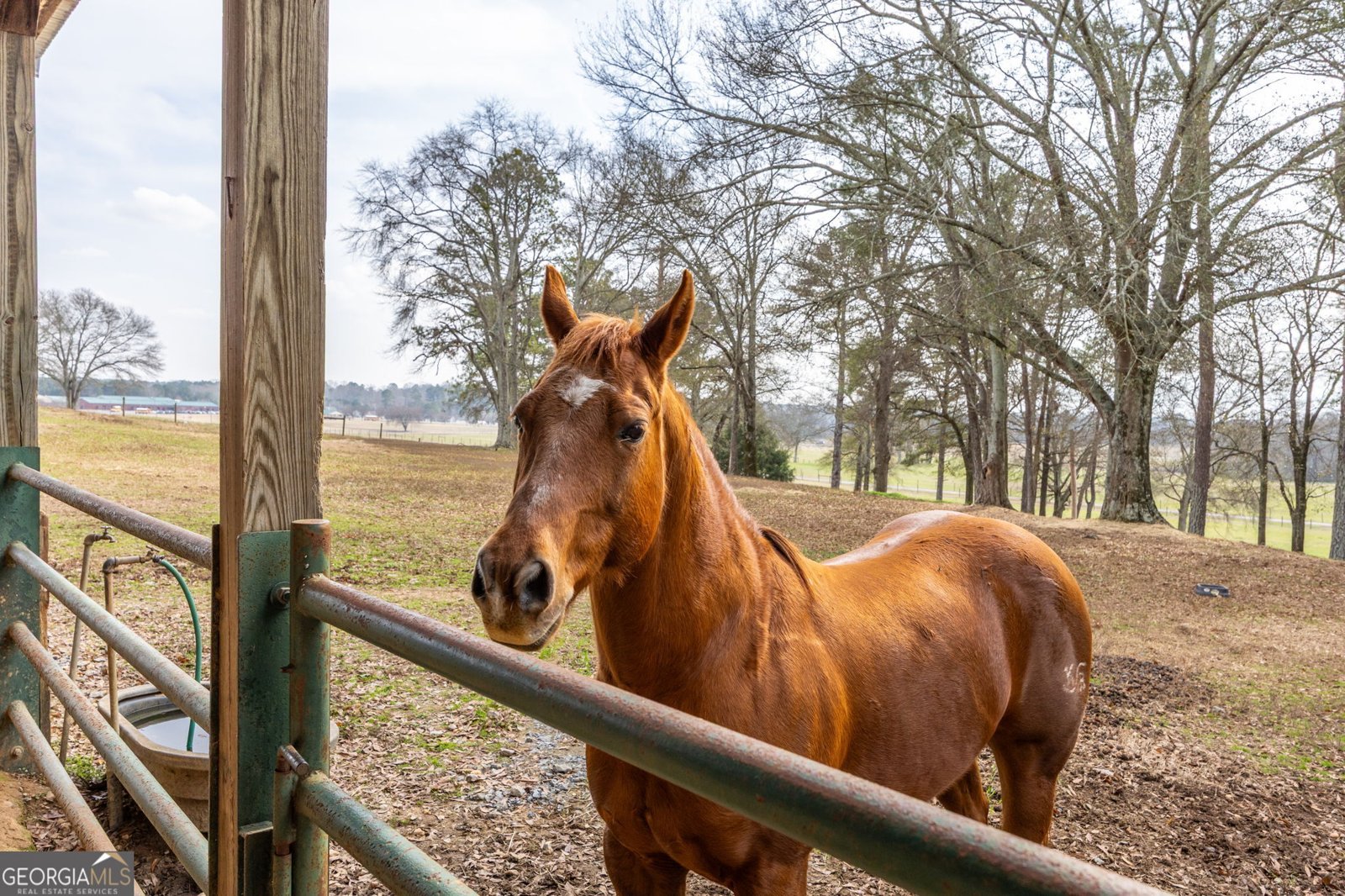 31 Old Hardin Bridge Road Taylorsville - Photo 115