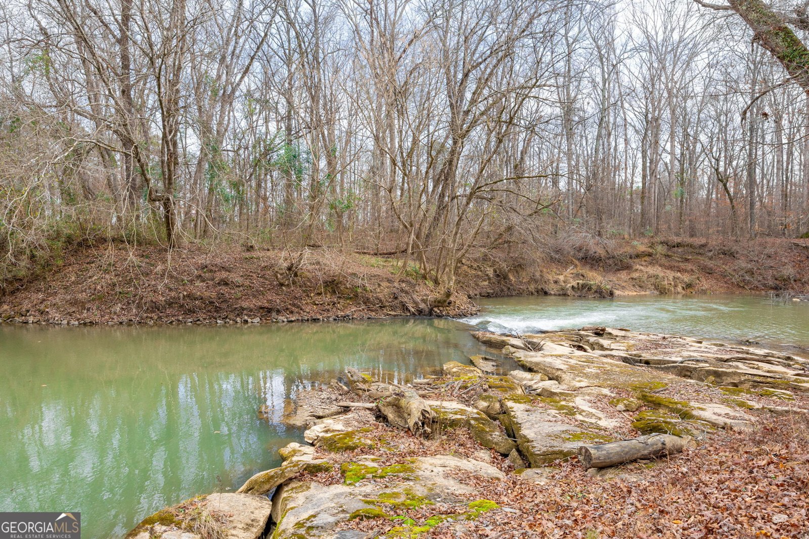 31 Old Hardin Bridge Road Taylorsville - Photo 39