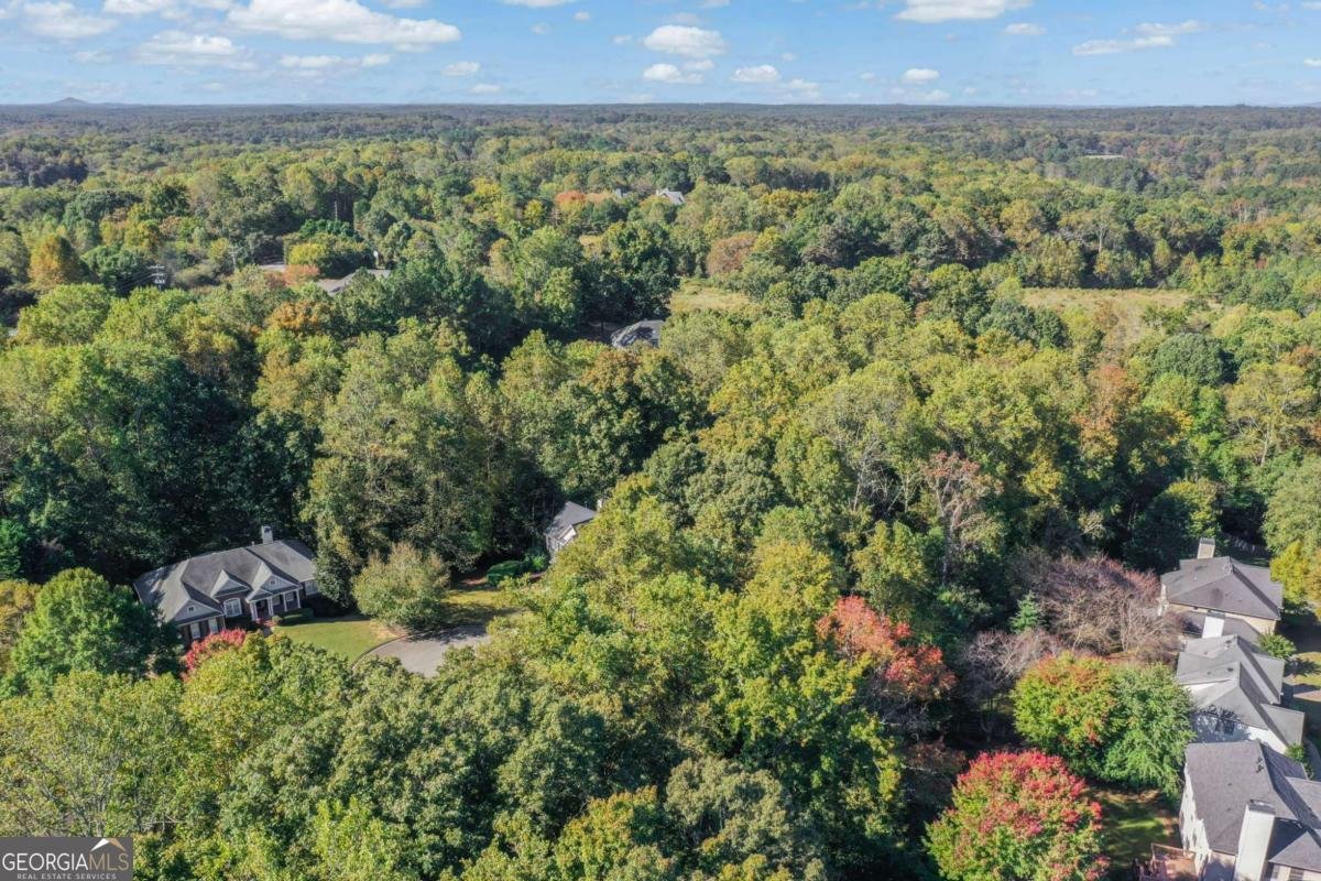 304 Berkshire Trace Canton - Photo 57